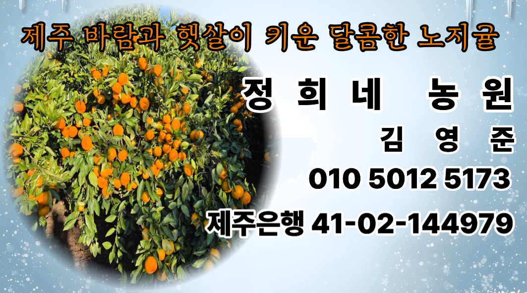 껍질이 얇고 알맹이가 팡팡 터지는 노지귤 상세 이미지 1